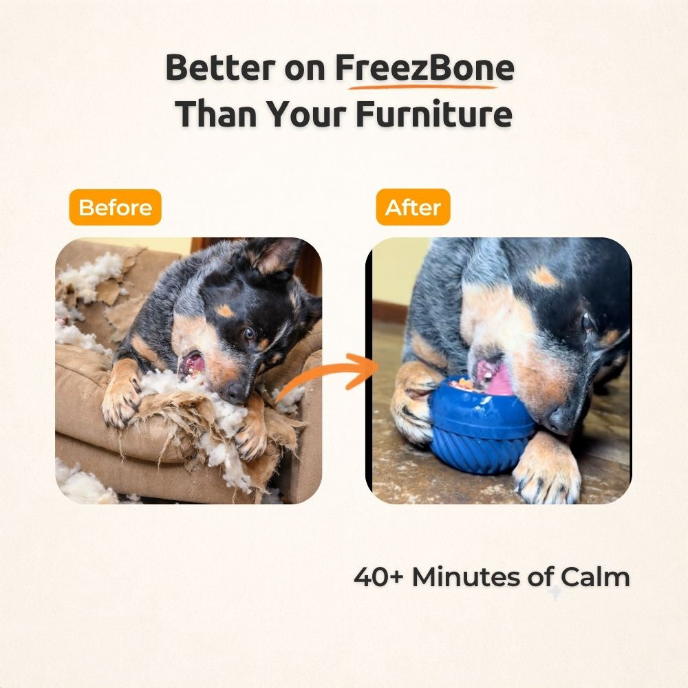 FreezJumbo™ Dog Enrichment Toy – Freezeable Slow Feeder for Large Dogs & Aggressive Chewers