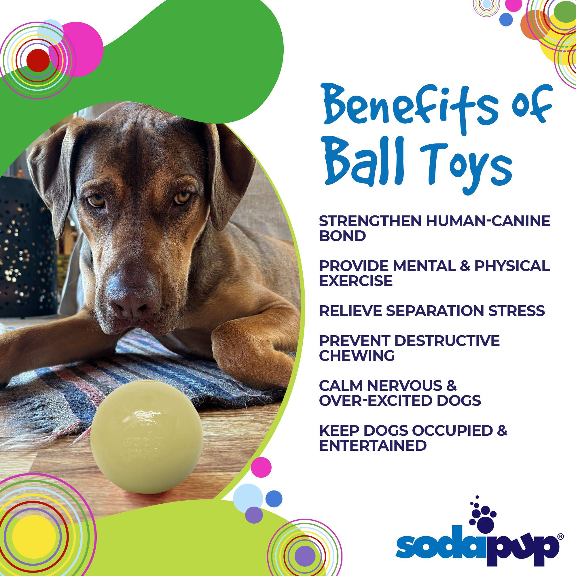 SodaPup Squeak Ball Dog Toy – Durable Floating Squeaky Fetch & Chew Toy (USA Made)