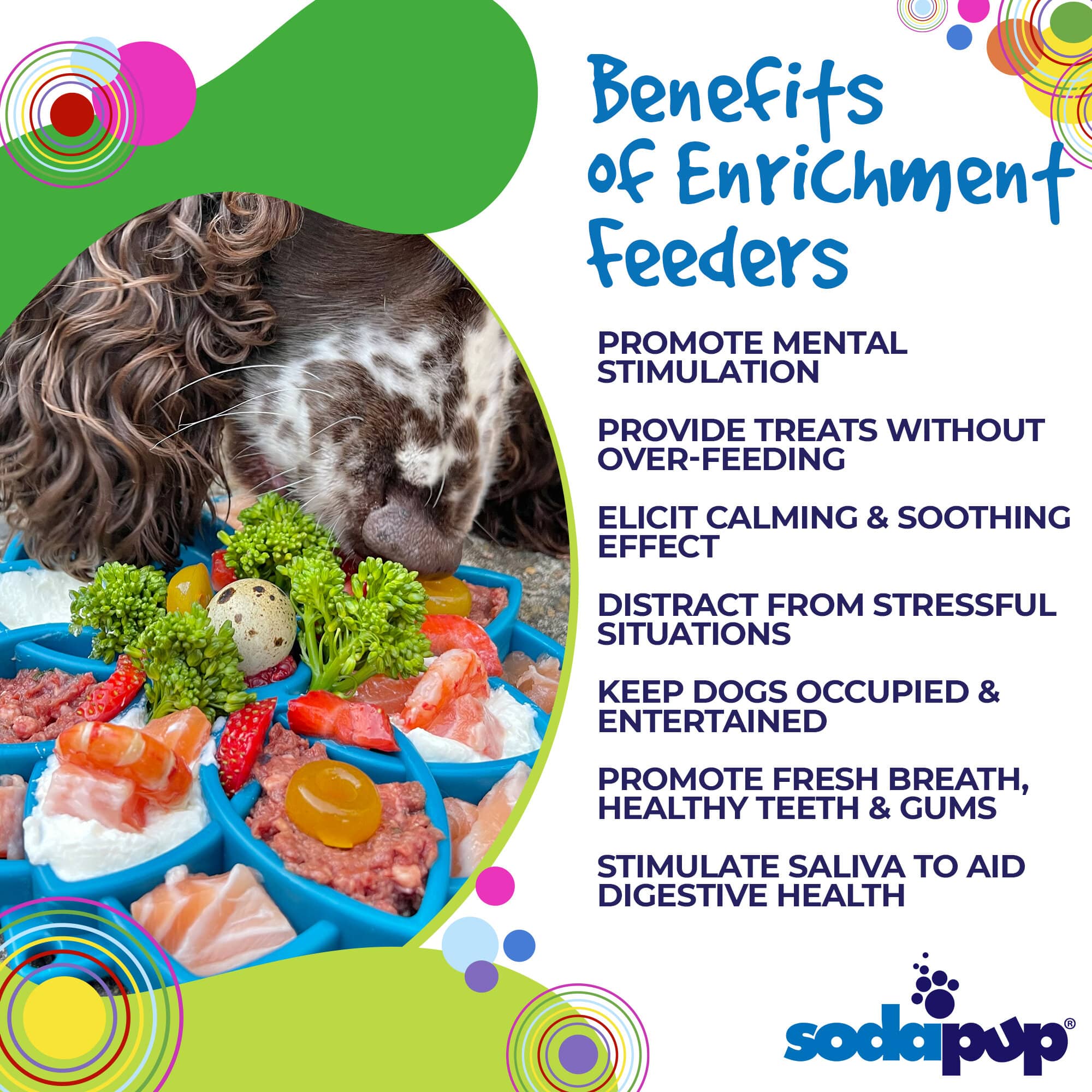 SodaPup Mandala Slow Feeder for Dogs – Enrichment Lick Mat & Puzzle Feeding Tray