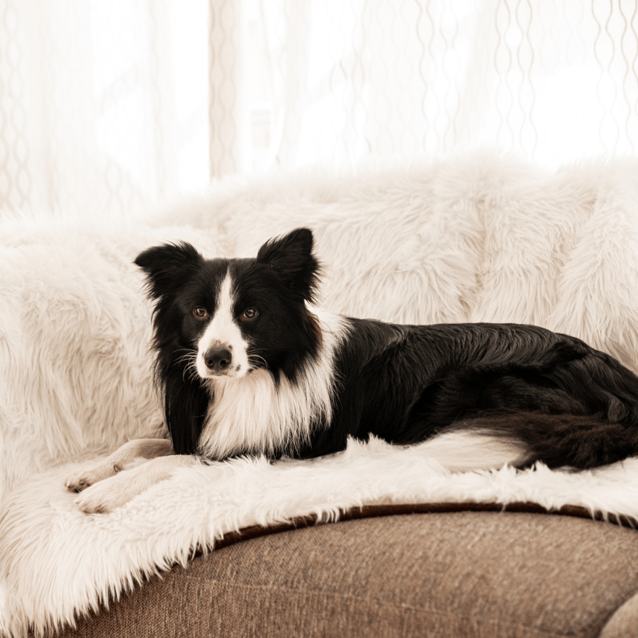 PupProtector™ Waterproof Dog Blanket – Durable, Washable, Throw Furniture Protector for Pets - Polar White