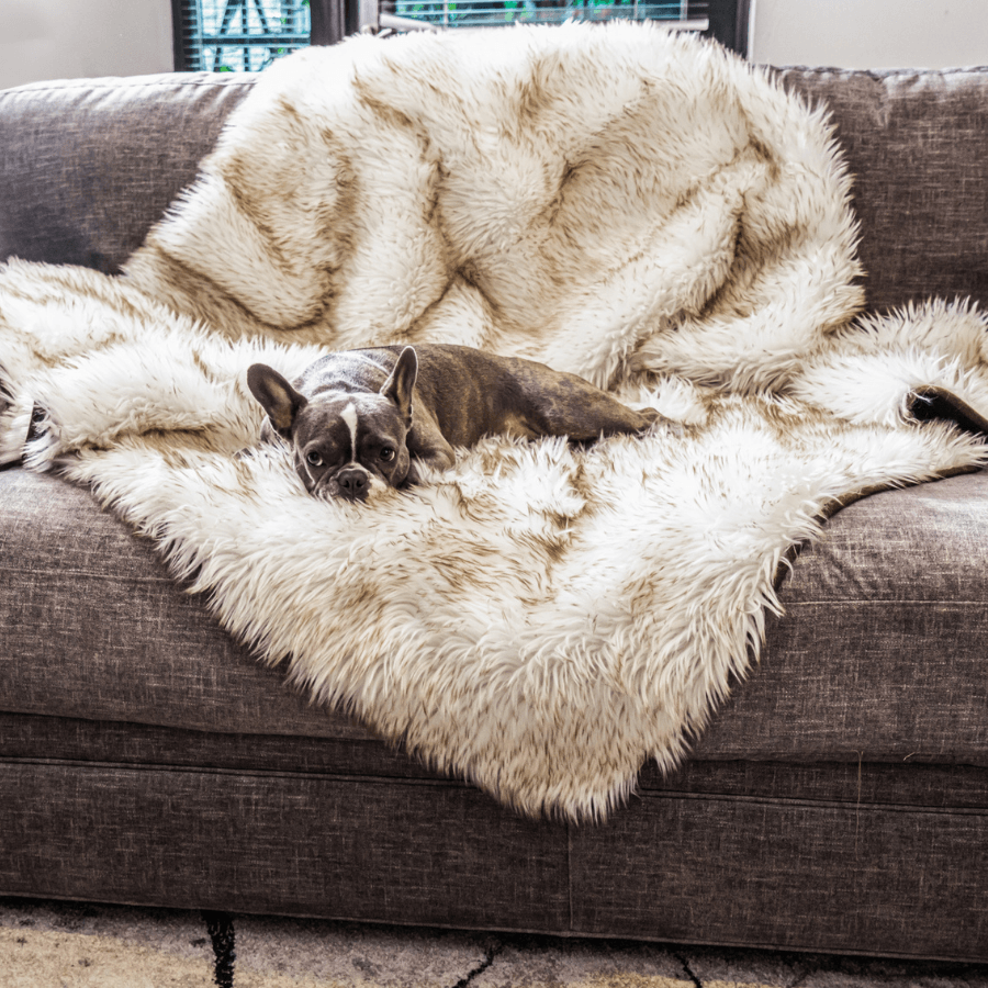PupProtector™ Waterproof Dog Blanket – Durable, Washable, Throw Furniture Protector for Pets - White with Brown Accents