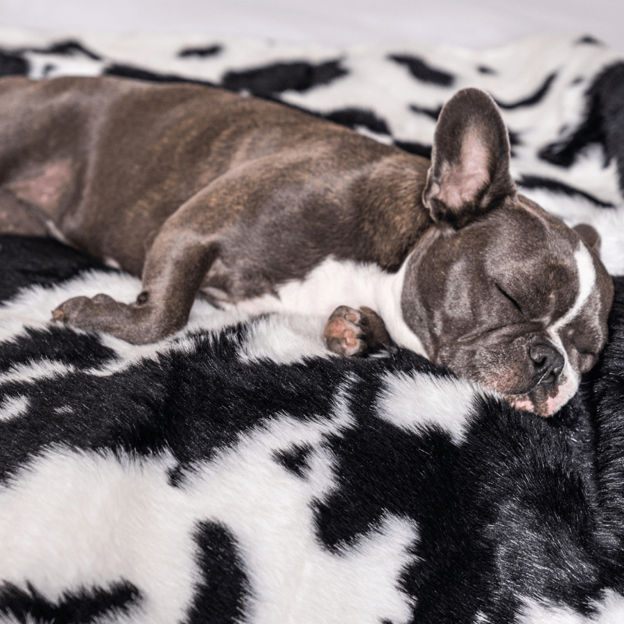 PupProtector™ Waterproof Dog Blanket – Durable, Washable, Throw Furniture Protector for Pets - Black Faux Cowhide