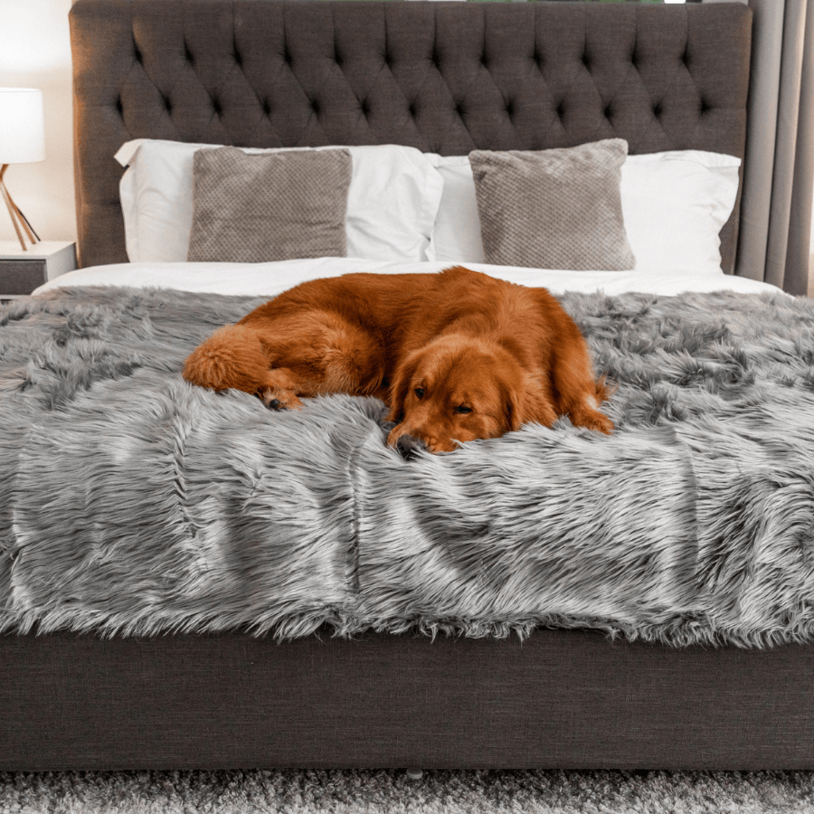 PupProtector™ Waterproof Dog Blanket – Durable, Washable, Throw Furniture Protector for Pets - Charcoal Grey