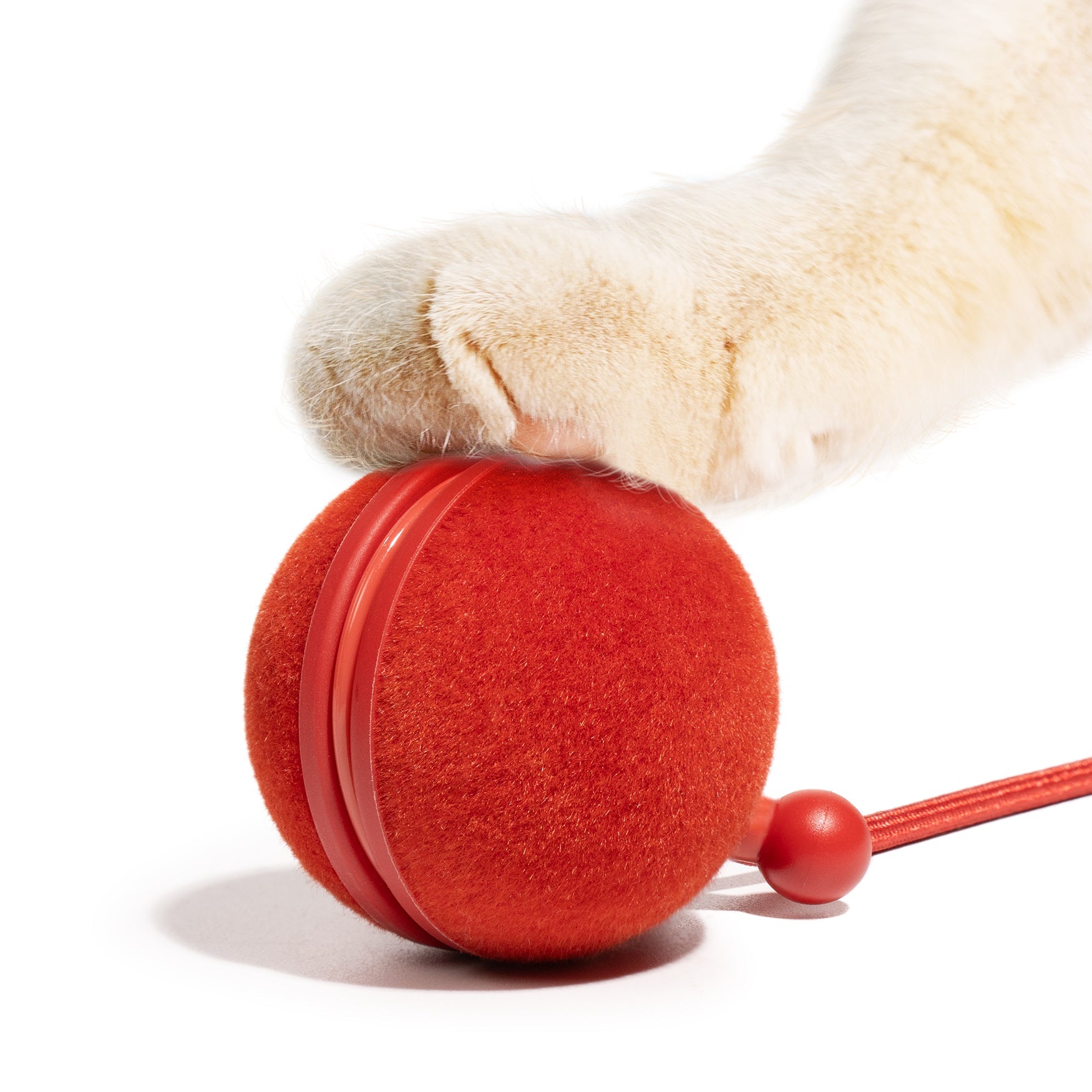 Creeble® Wicked Ball Duo2 – 2-in-1 Smart Interactive Cat Toy with Dual Modes & USB-C Rechargeable Play