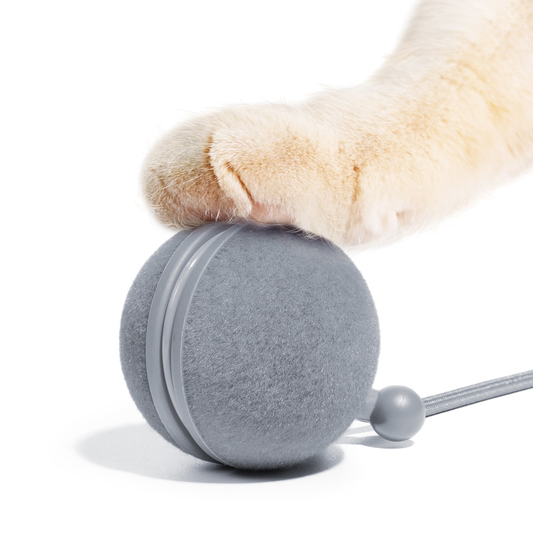Creeble® Wicked Ball Duo2 – 2-in-1 Smart Interactive Cat Toy with Dual Modes & USB-C Rechargeable Play