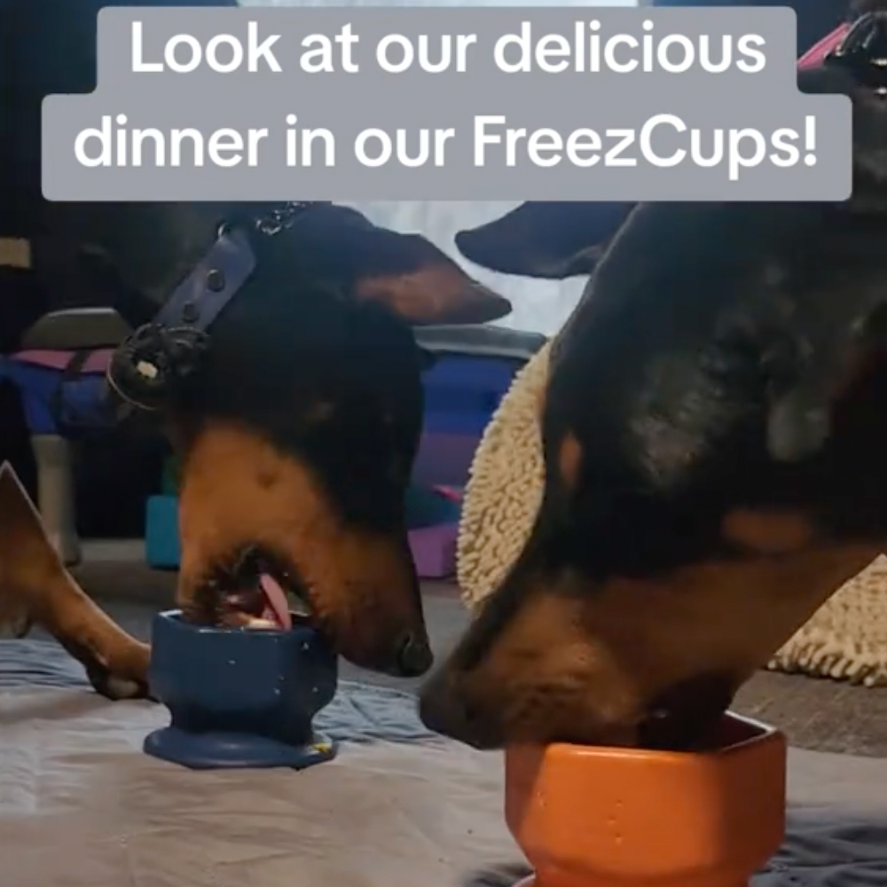 FreezCup Refillable Dog Enrichment Chew Toy – Freezable & Dishwasher Safe