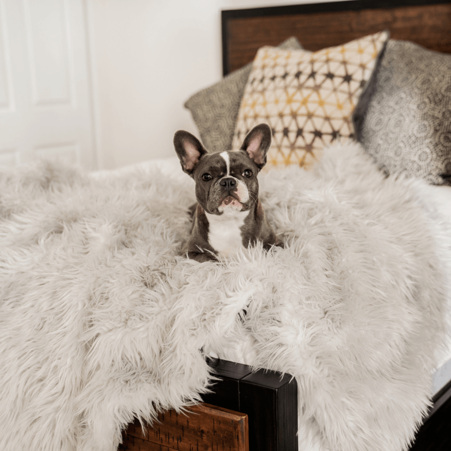 PupProtector™ Waterproof Dog Blanket – Durable, Washable, Throw Furniture Protector for Pets - Grey