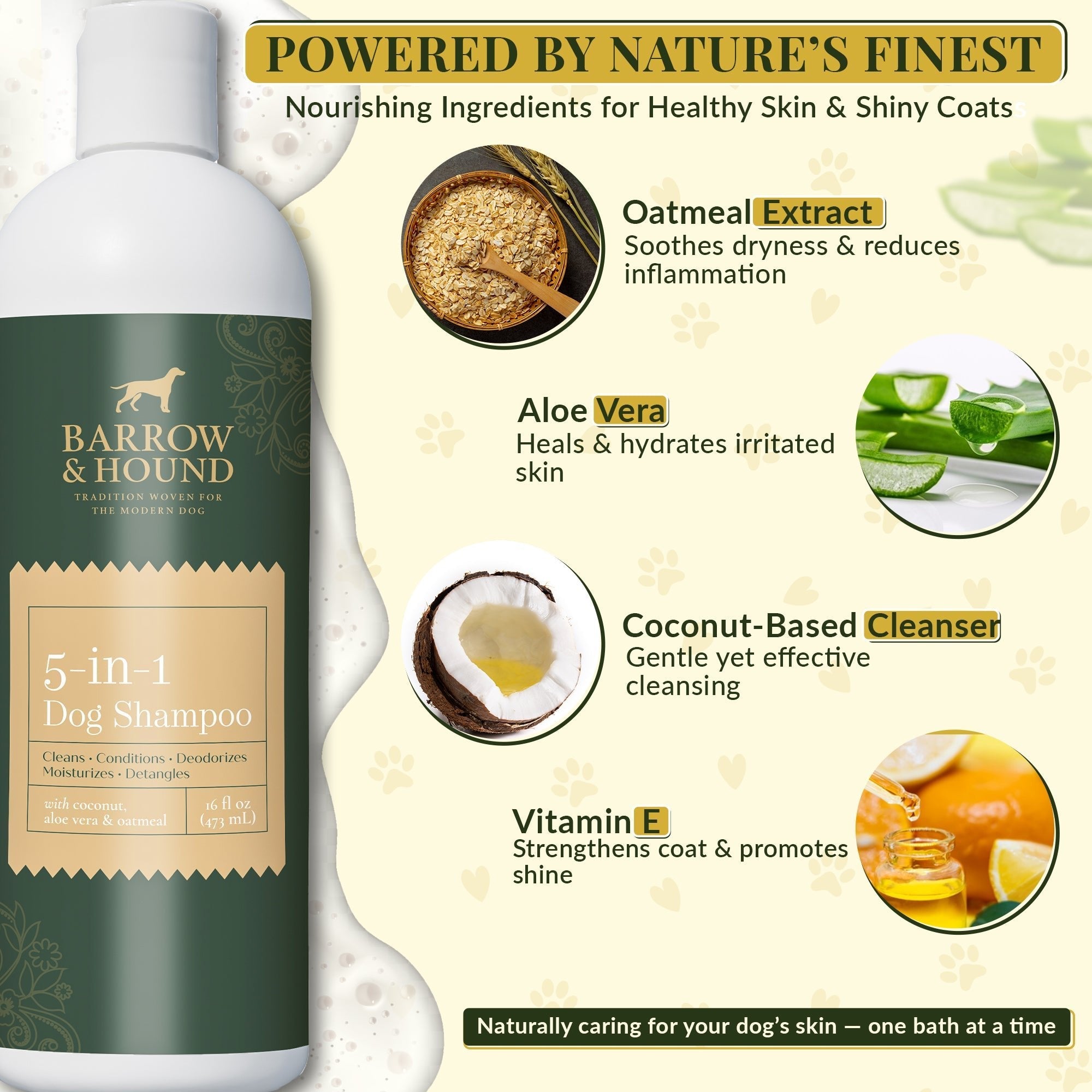 Barrow & Hound 5-in-1 Luxury Dog Shampoo – Coconut, Oatmeal & Aloe for Sensitive Skin (16 oz)