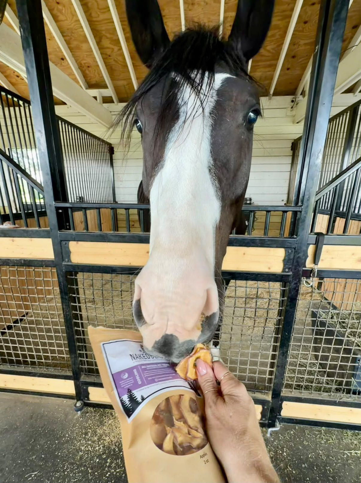 Dried Apple Rings for Dogs & Cats | Single Ingredient Pet Treats