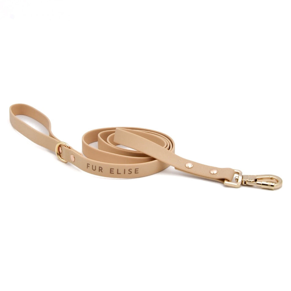 Elise Waterproof Adventure Dog Leash – 5 Ft Durable & Easy-to-Clean - Sand