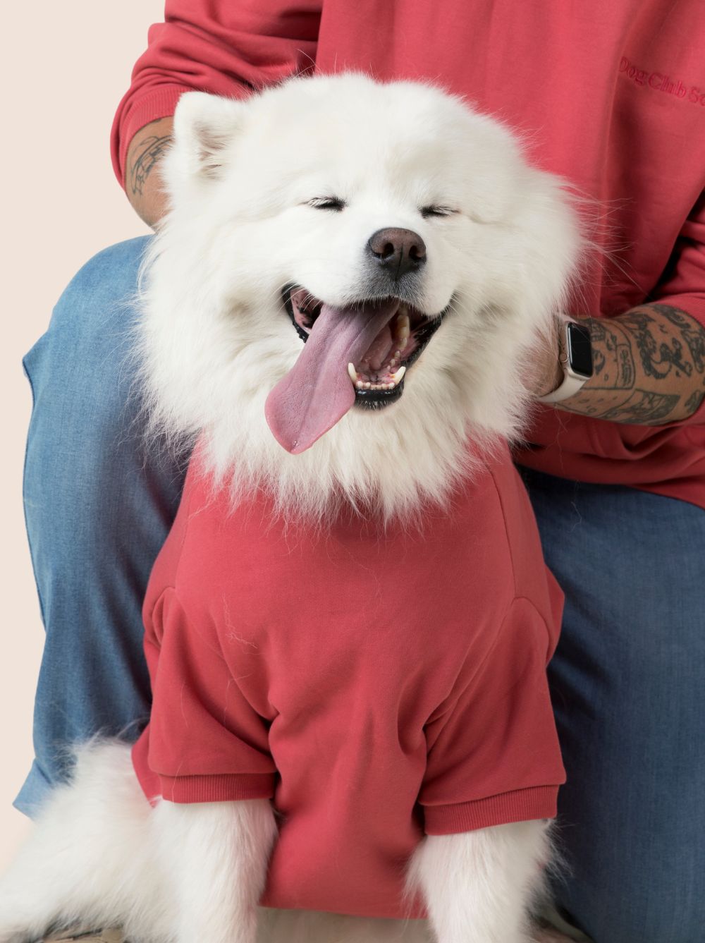 Matching Dog & Owner Hoodie – Oversized Unisex Fleece Sweatshirt for Pets and People (Berry)