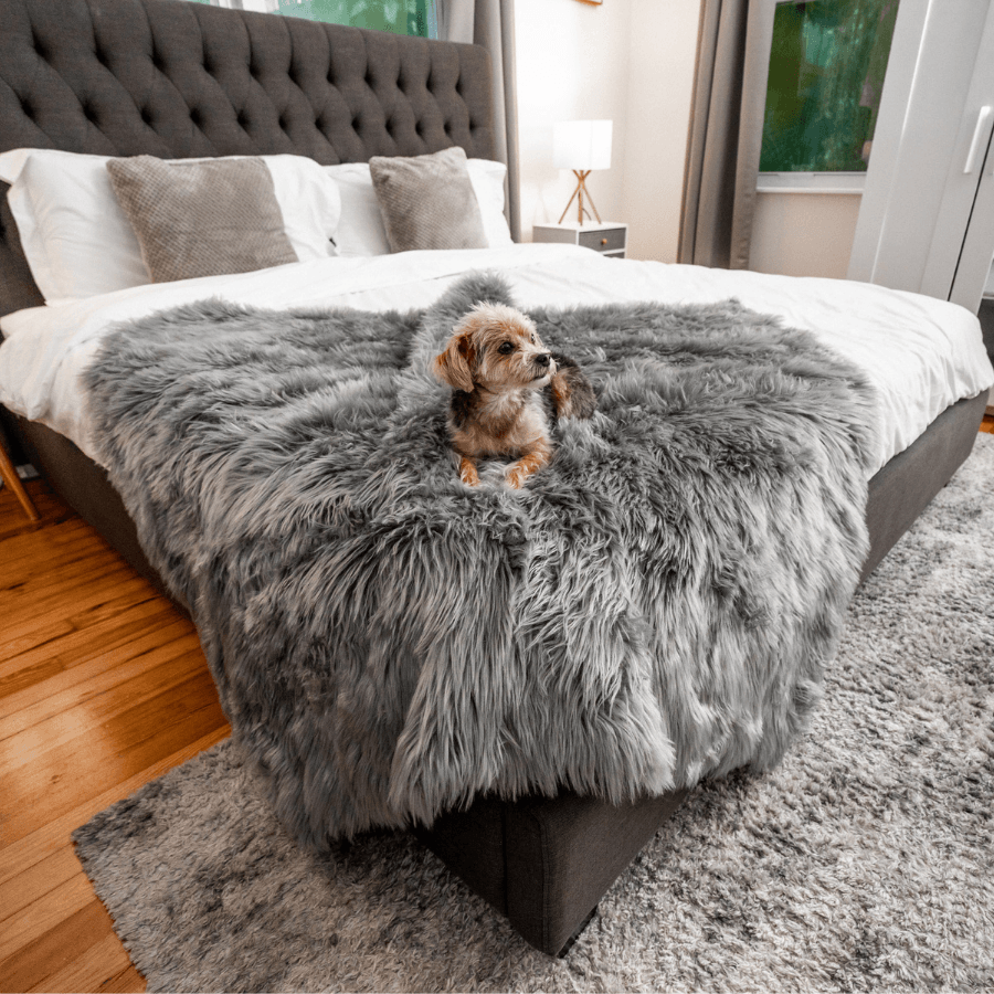 PupProtector™ Waterproof Dog Blanket – Durable, Washable, Throw Furniture Protector for Pets - Charcoal Grey