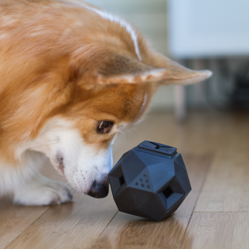 The Odin Treat Dispensing Dog Toy – Interactive Puzzle & Slow Feeder for Mental Stimulation