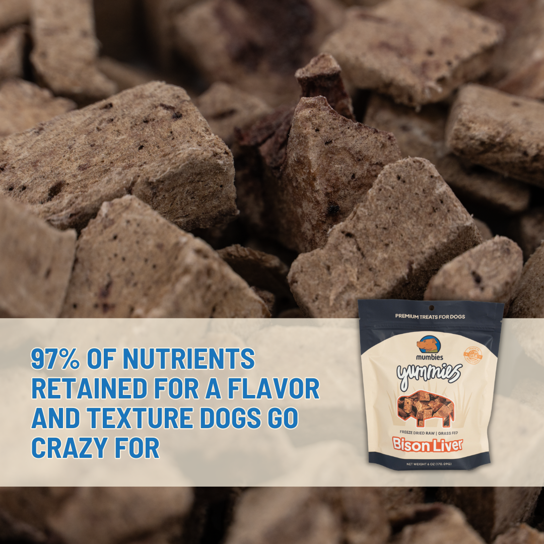 Mumbies Yummies Freeze-Dried Bison Liver Dog Treats – High-Protein Single-Ingredient Raw Organ Meat Made in the USA