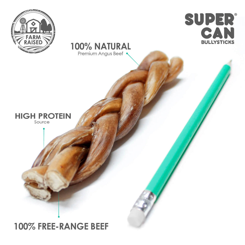 SuperCan 6" Braided Bully Sticks (10-Pack) – All-Natural, Long-Lasting Beef Chews for Dogs