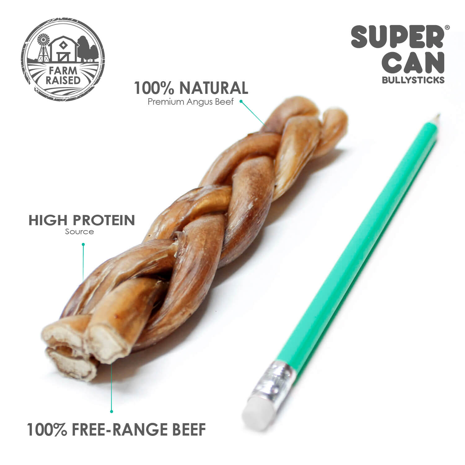 SuperCan 6" Braided Bully Sticks (10-Pack) – All-Natural, Long-Lasting Beef Chews for Dogs