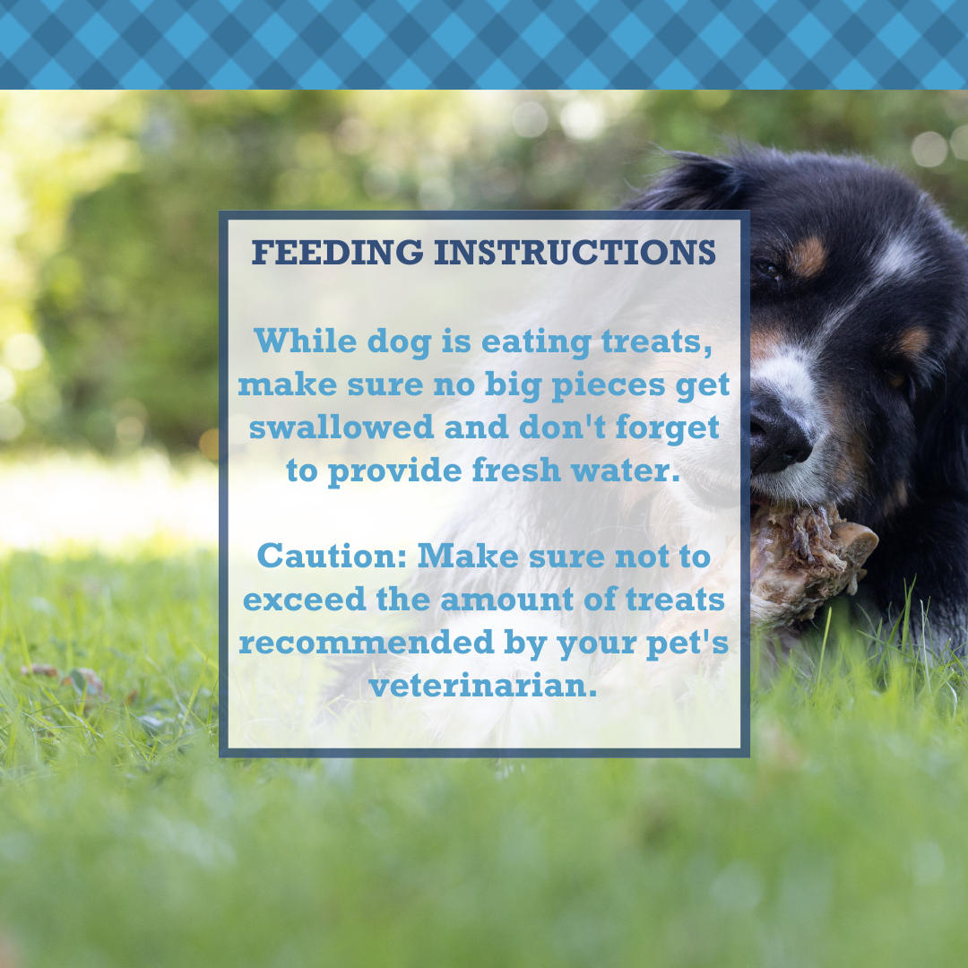 Country Living Beef Trachea Dog Treats – All-Natural 12-Inch Protein-Rich Chews (5-Pack)