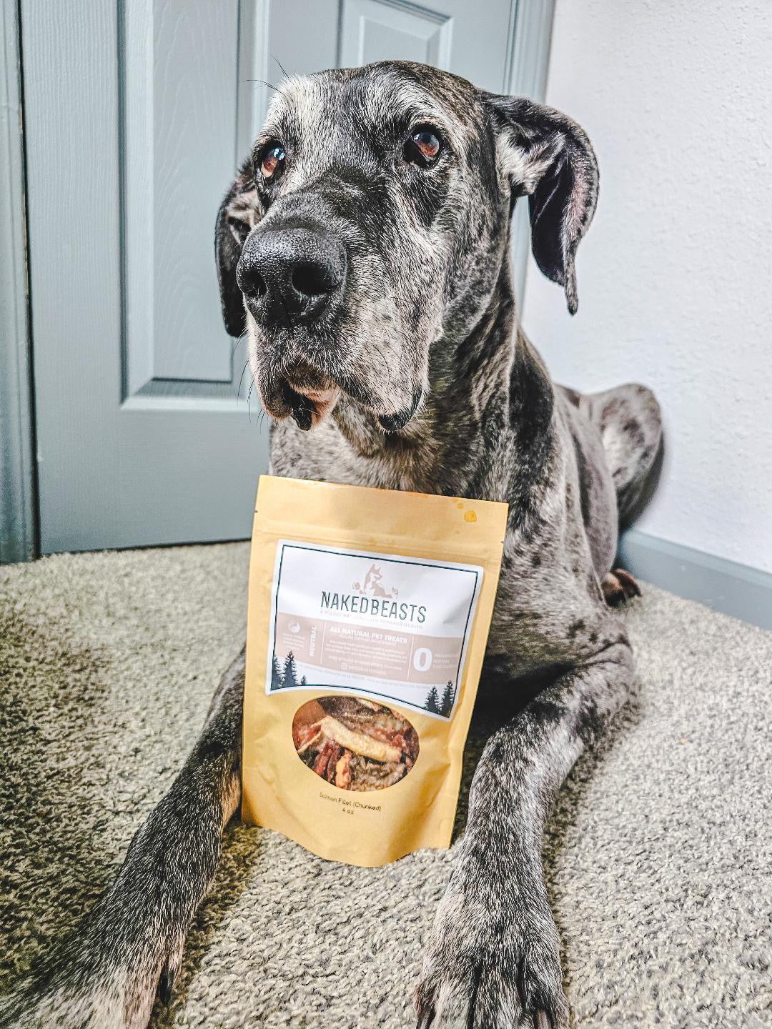 Dehydrated Salmon Fillet Dog & Cat Treats – Omega-3 Rich Single-Ingredient Salmon