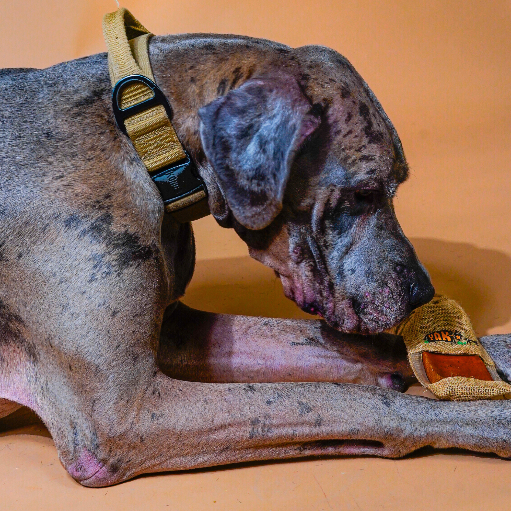 Yak9 Himalayan 100% Yak Cheese Dog Chews – Long-Lasting Natural Chews for Dental Health