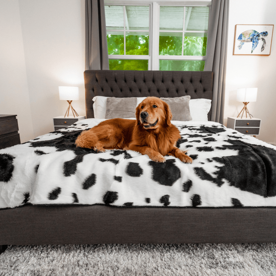 PupProtector™ Waterproof Dog Blanket – Durable, Washable, Throw Furniture Protector for Pets - Black Faux Cowhide