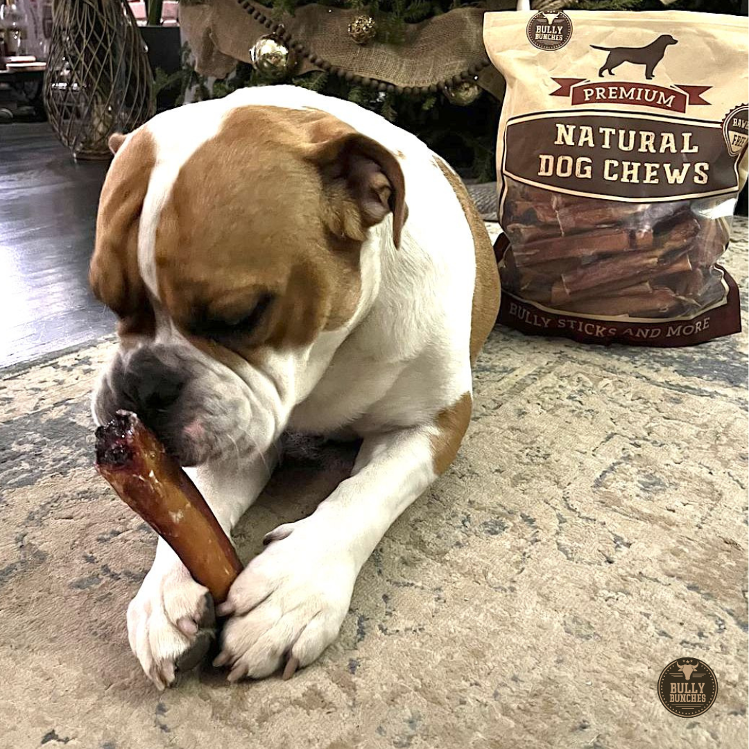 6-Inch Monster Bully Sticks – Extra Thick Natural Dog Chews for Power Chewers