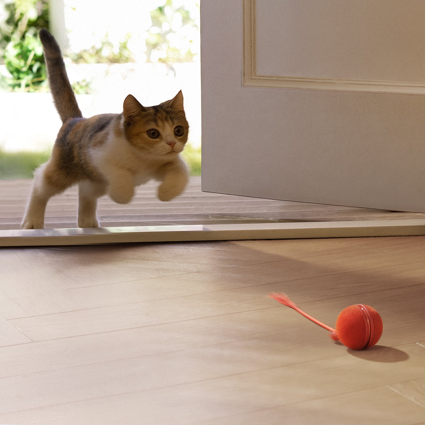 Creeble® Wicked Ball Duo2 – 2-in-1 Smart Interactive Cat Toy with Dual Modes & USB-C Rechargeable Play