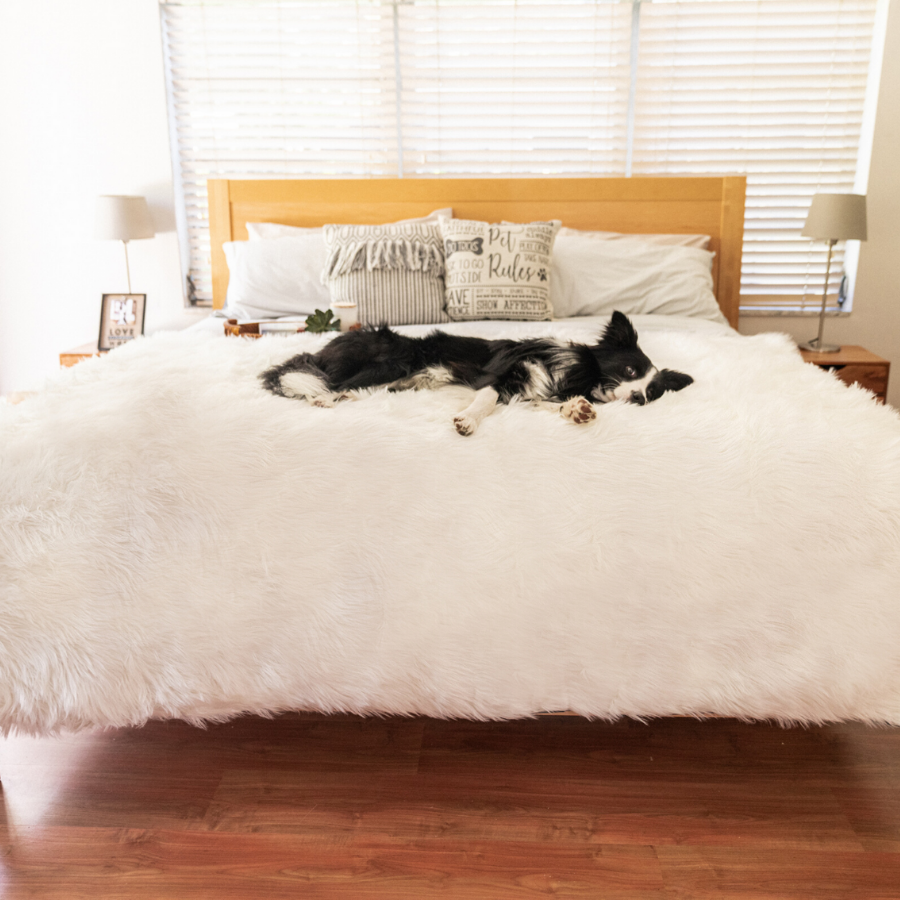 PupProtector™ Waterproof Dog Blanket – Durable, Washable, Throw Furniture Protector for Pets - Polar White