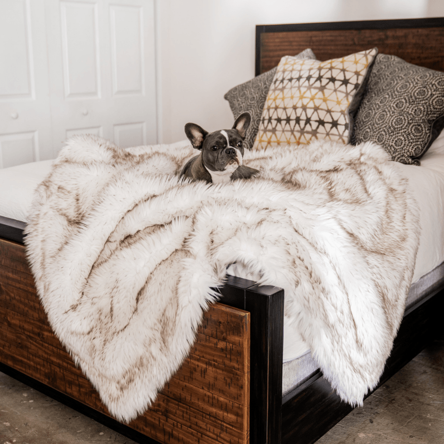 PupProtector™ Waterproof Dog Blanket – Durable, Washable, Throw Furniture Protector for Pets - White with Brown Accents