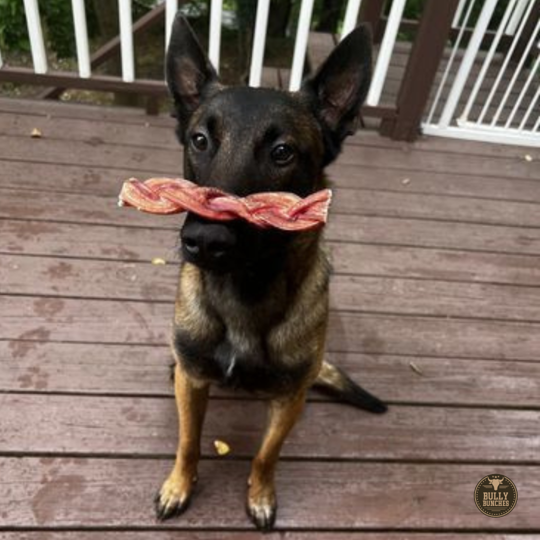 6-Inch Monster Braided Bully Stick for Dogs – All-Natural, Long-Lasting Chew