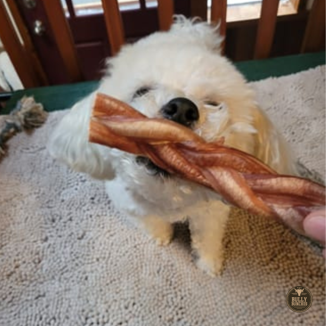 6-Inch Standard Braided Bully Stick – All-Natural, Long-Lasting Dog Chew by Bully Bunches