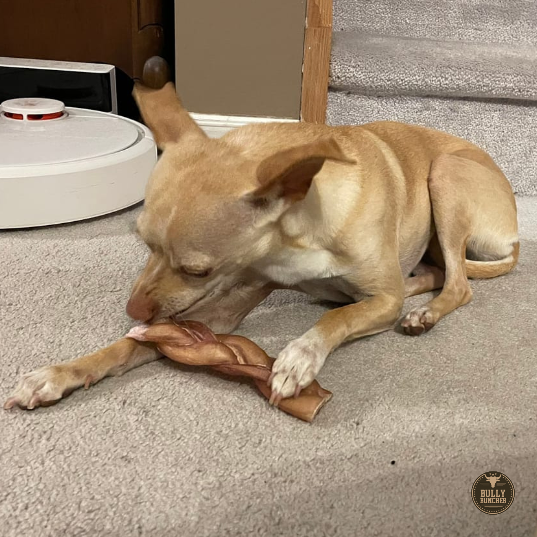Bully Bunches 6-Inch Braided Thick Bully Sticks – Long-Lasting Natural Dog Chews