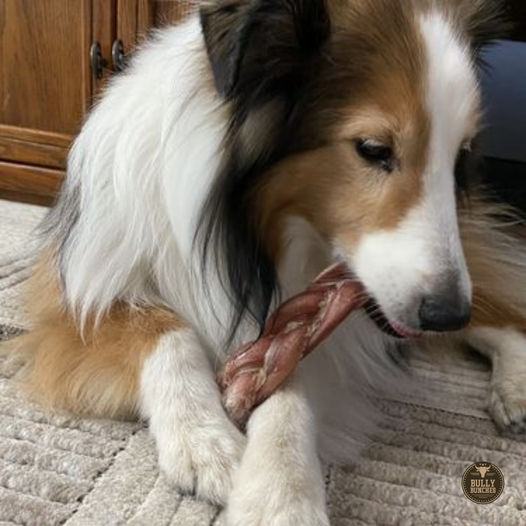 Bully Bunches 6-Inch Braided Thick Bully Sticks – Long-Lasting Natural Dog Chews