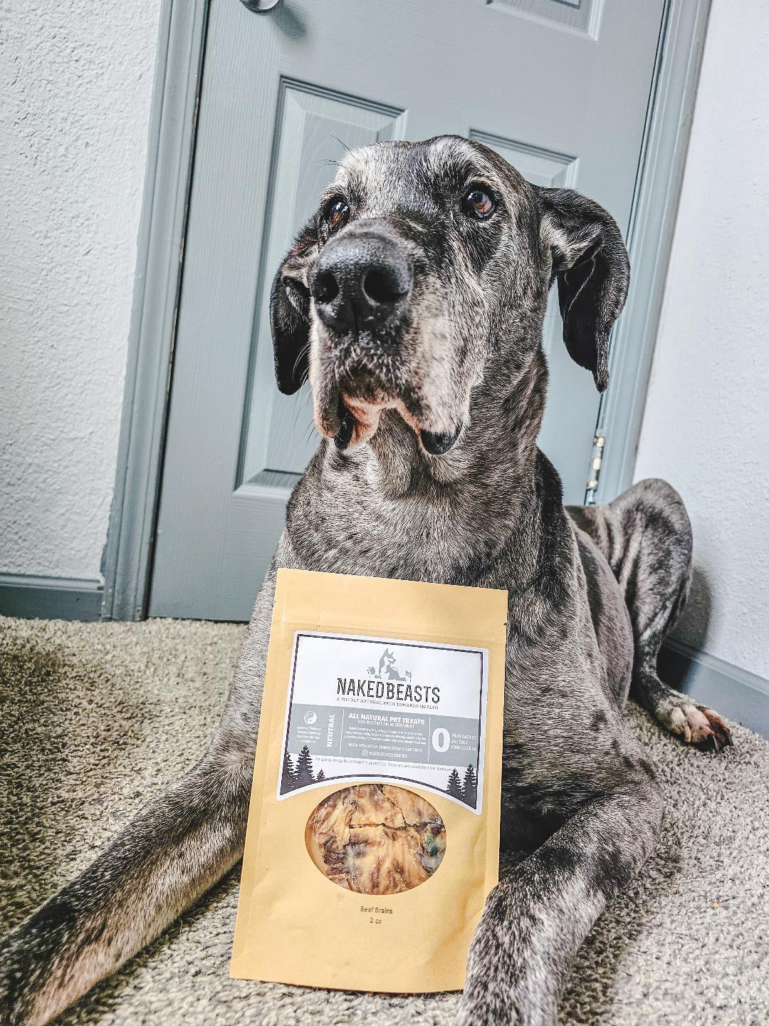 Beef Brain Crisps for Dogs & Cats |Single Ingredient Treats