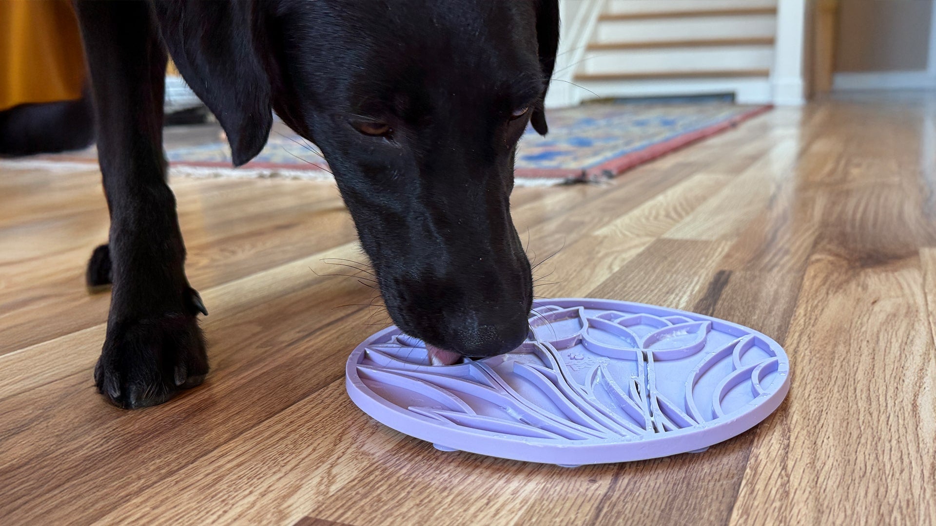 SodaPup Tulip Dog Lick Mat with Suction Cups – Slow Feeder, Enrichment & Anxiety Relief for Dogs
