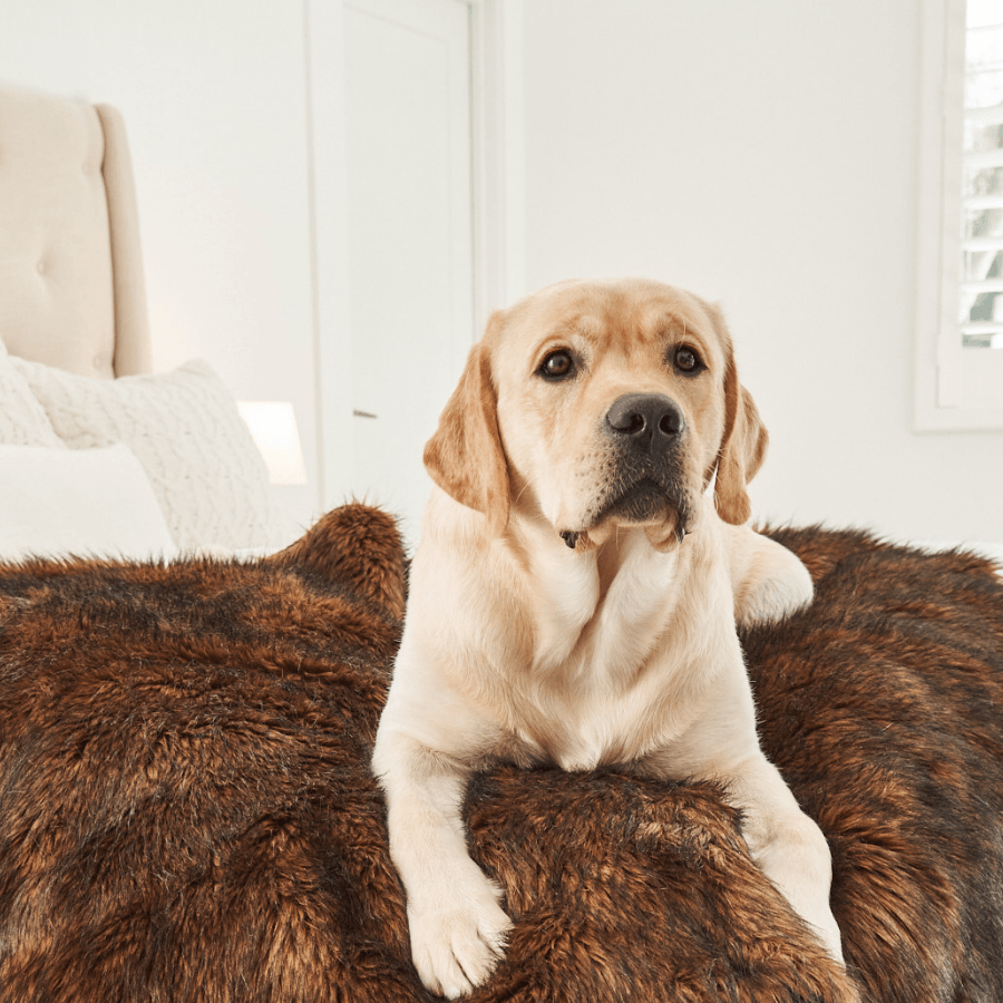 PupProtector™ Waterproof Dog Blanket – Durable, Washable, Throw Furniture Protector for Pets – Brown