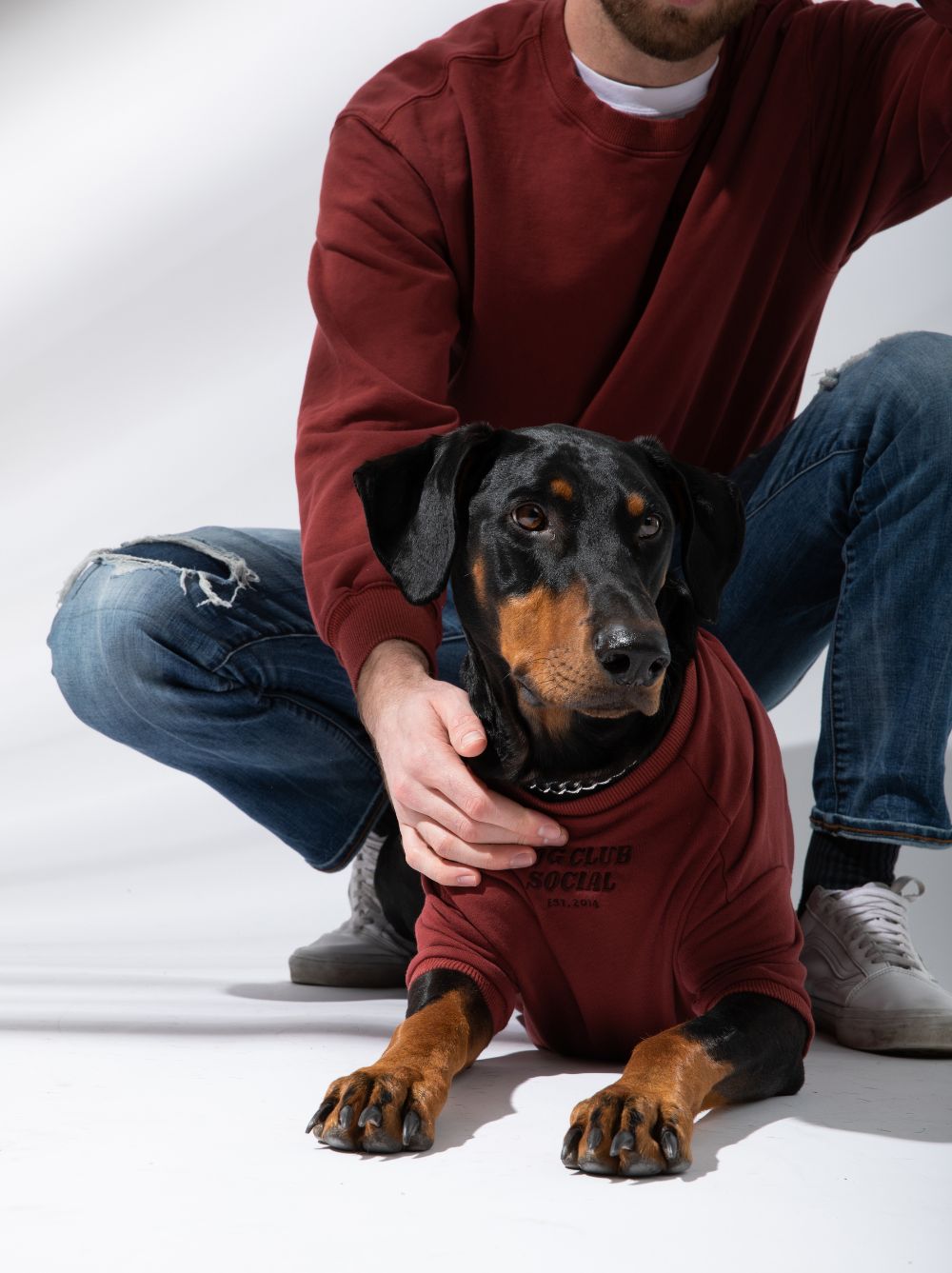 Limited Edition DCS Pullover – Renewed Maroon Oversized French Terry Sweatshirt