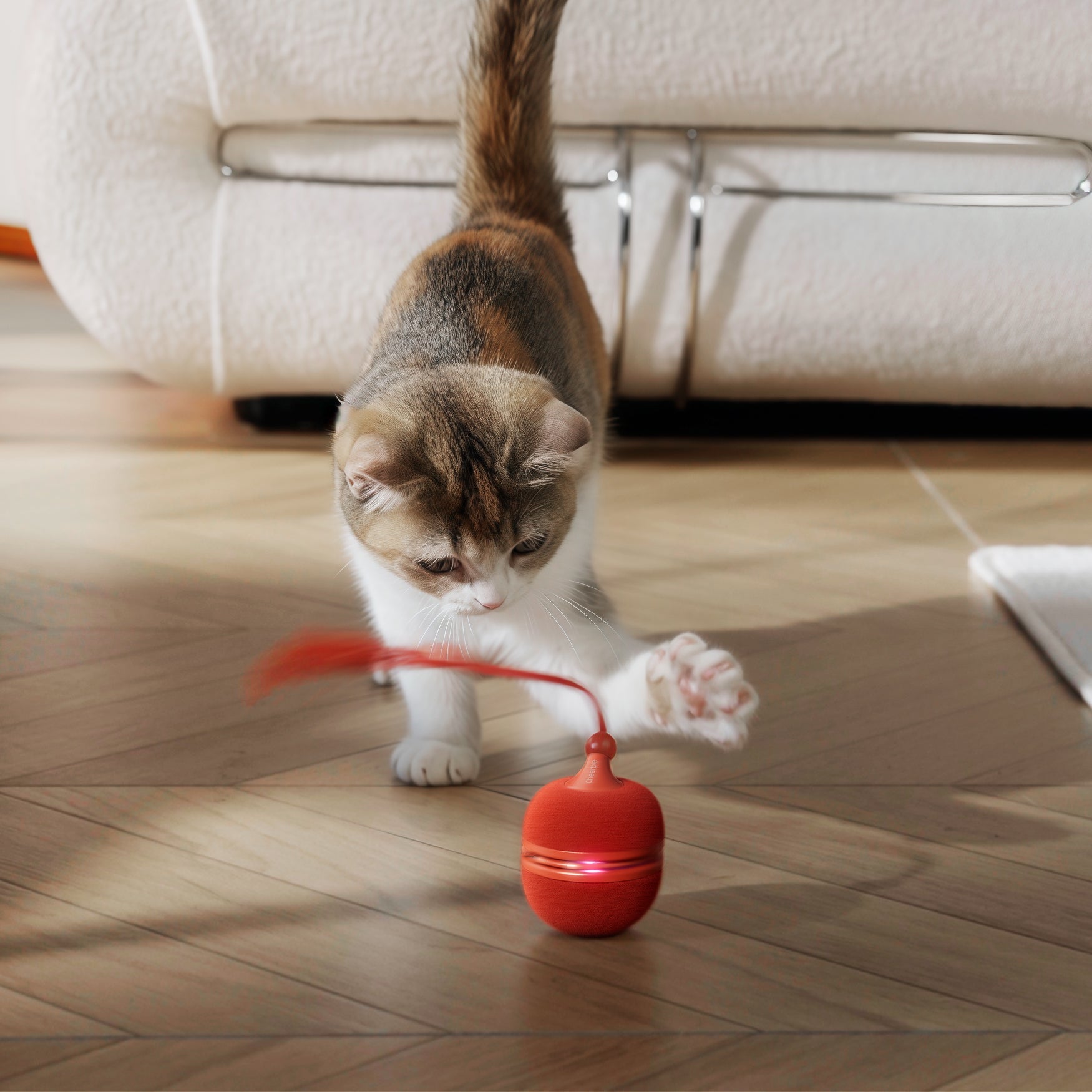 Creeble® Wicked Ball Duo2 – 2-in-1 Smart Interactive Cat Toy with Dual Modes & USB-C Rechargeable Play
