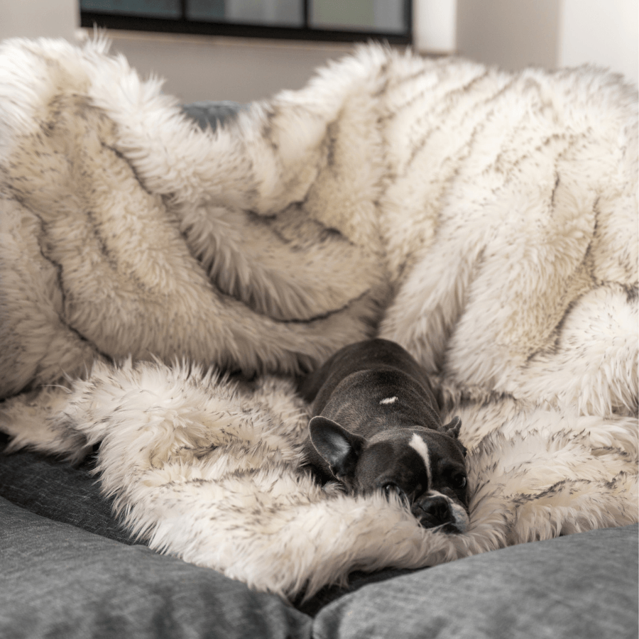 PupProtector™ Waterproof Dog Blanket – Durable, Washable, Throw Furniture Protector for Pets - White with Brown Accents
