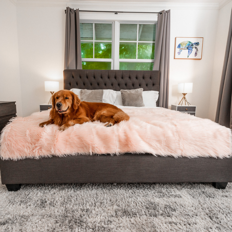 PupProtector™ Waterproof Dog Blanket – Durable, Washable, Throw Furniture Protector for Pets - Blush Pink