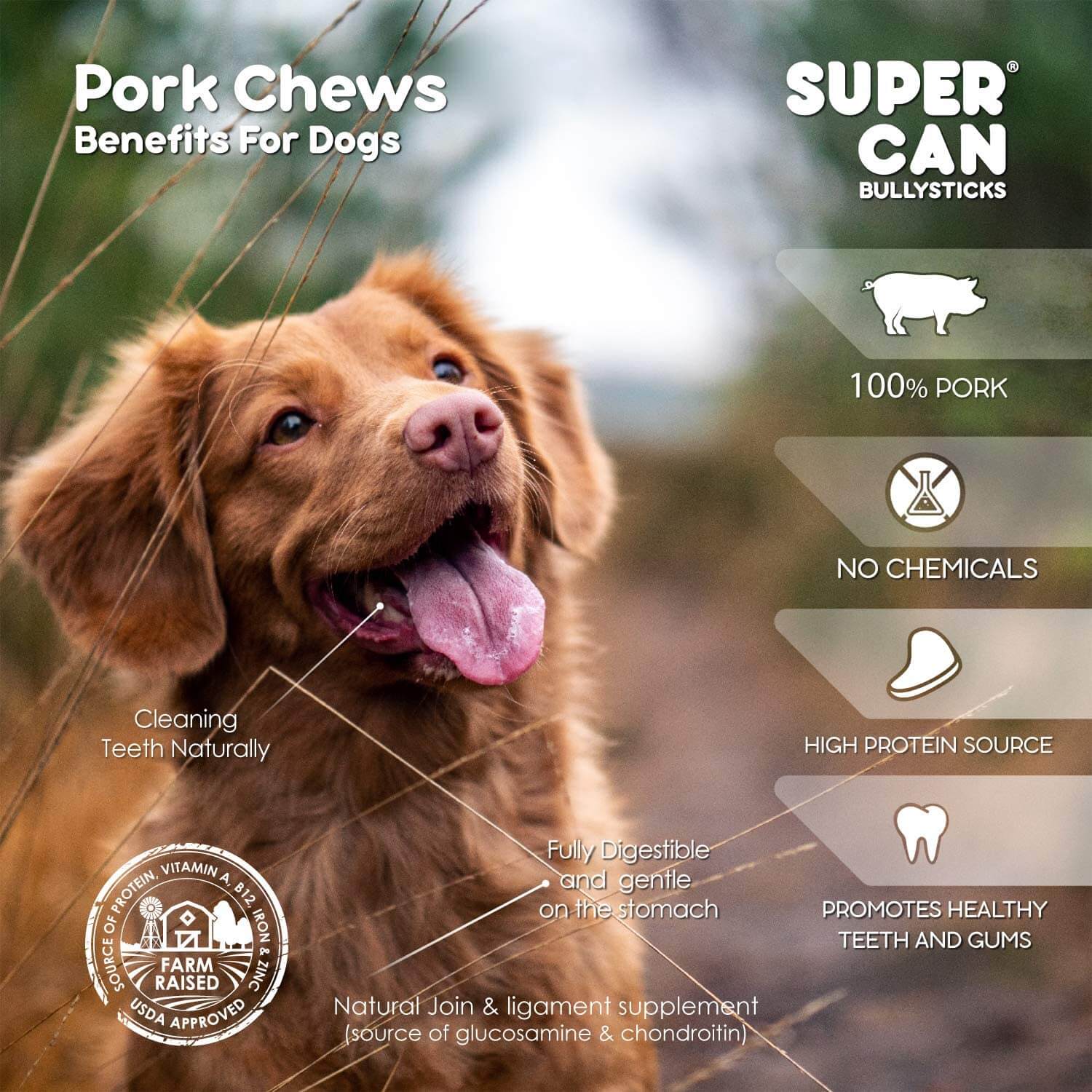 All-Natural Pig Ear Slivers | High-Protein, Fully Digestible Pork Dog Chews (1 Ibs Bags)
