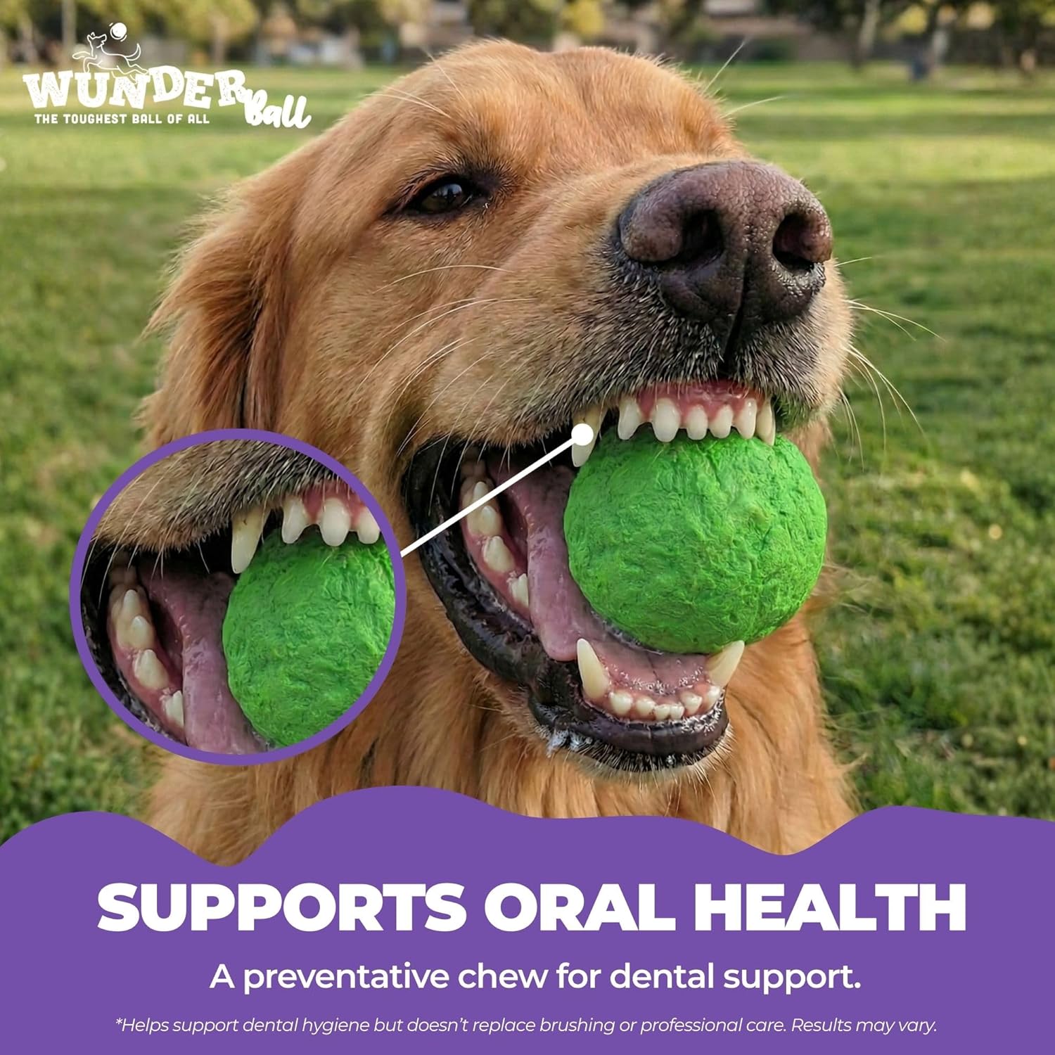 WUNDERball Natural Rubber Dog Ball – Durable Fetch Toy for Aggressive Chewers & Water Play