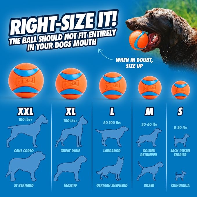 Chuckit! Sport Ball Launcher for Active Small Dogs – Includes 2" High-Bounce Ball