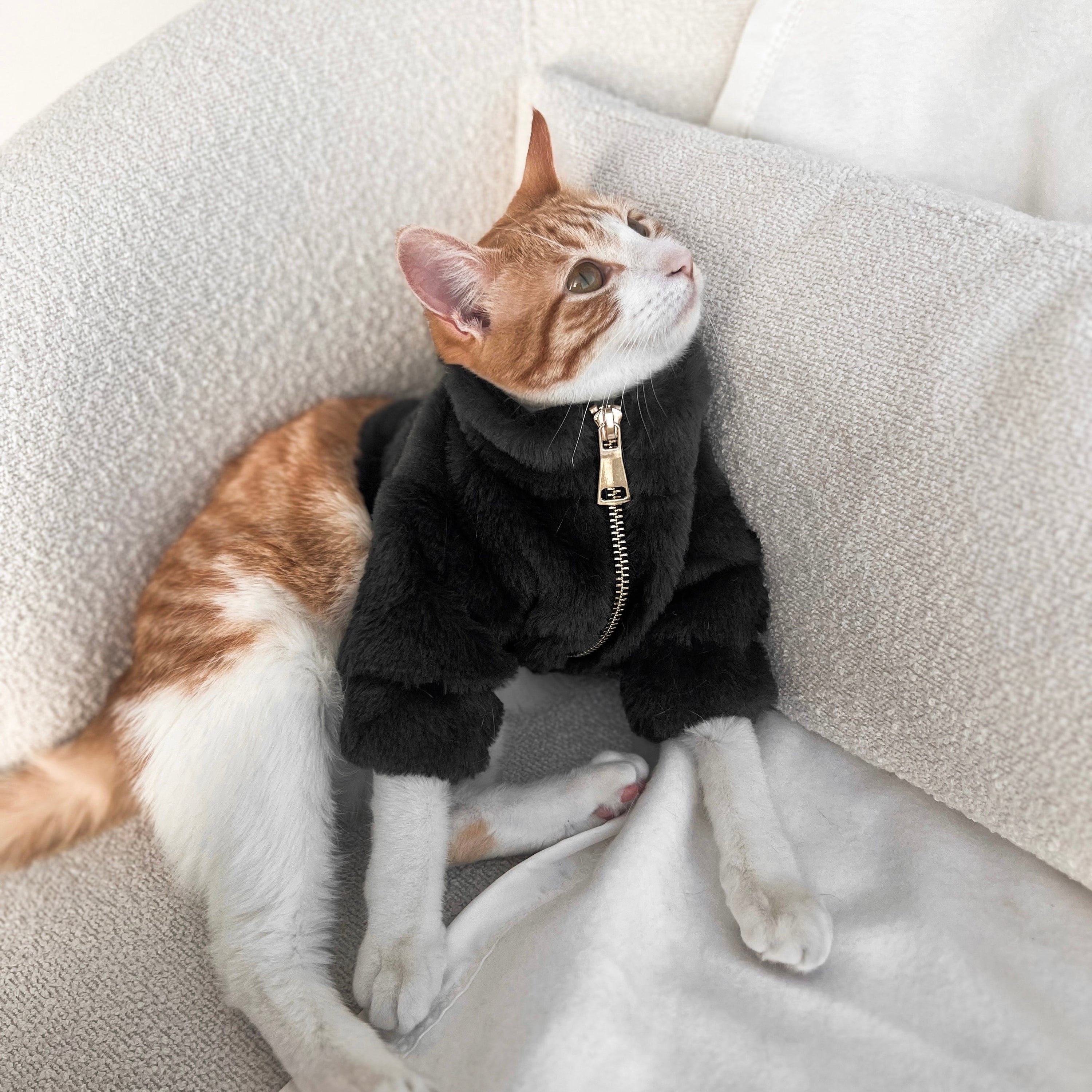 Furi Pet Noir Coat – Luxurious Faux Rabbit Fur Dog Jacket with Gold Zipper & Leash Opening