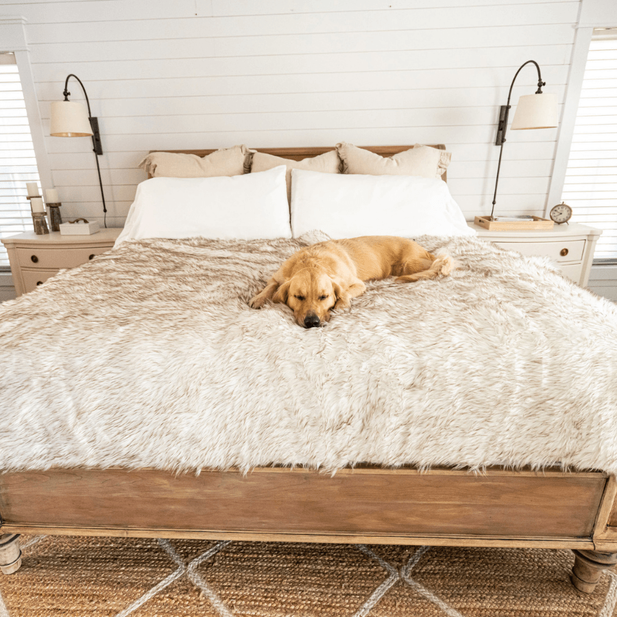 PupProtector™ Waterproof Dog Blanket – Durable, Washable, Throw Furniture Protector for Pets - White with Brown Accents