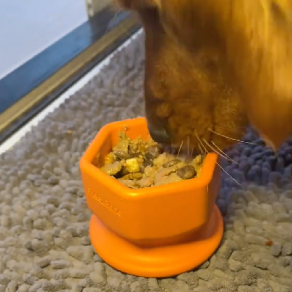 FreezCup Refillable Dog Enrichment Chew Toy – Freezable & Dishwasher Safe