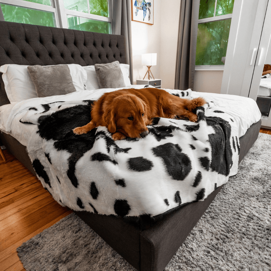 PupProtector™ Waterproof Dog Blanket – Durable, Washable, Throw Furniture Protector for Pets - Black Faux Cowhide