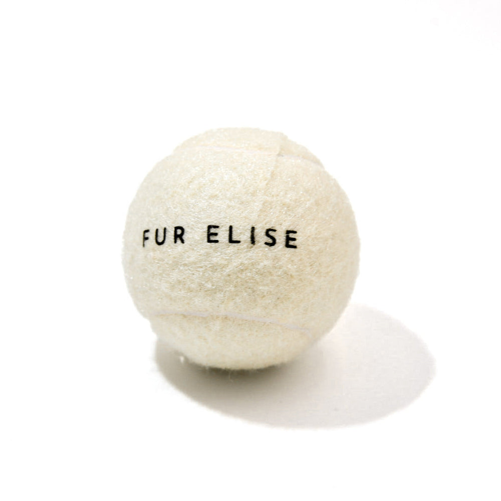 Classic Tennis Ball – Bone Edition | Pet-Safe, Durable Fetch Toy for Dogs