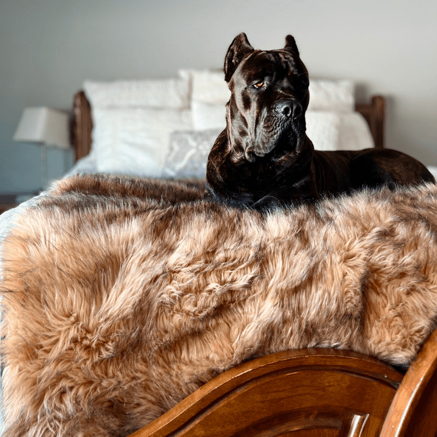 PupProtector™ Waterproof Dog Blanket – Durable, Washable, Throw Furniture Protector for Pets - Sable Tan