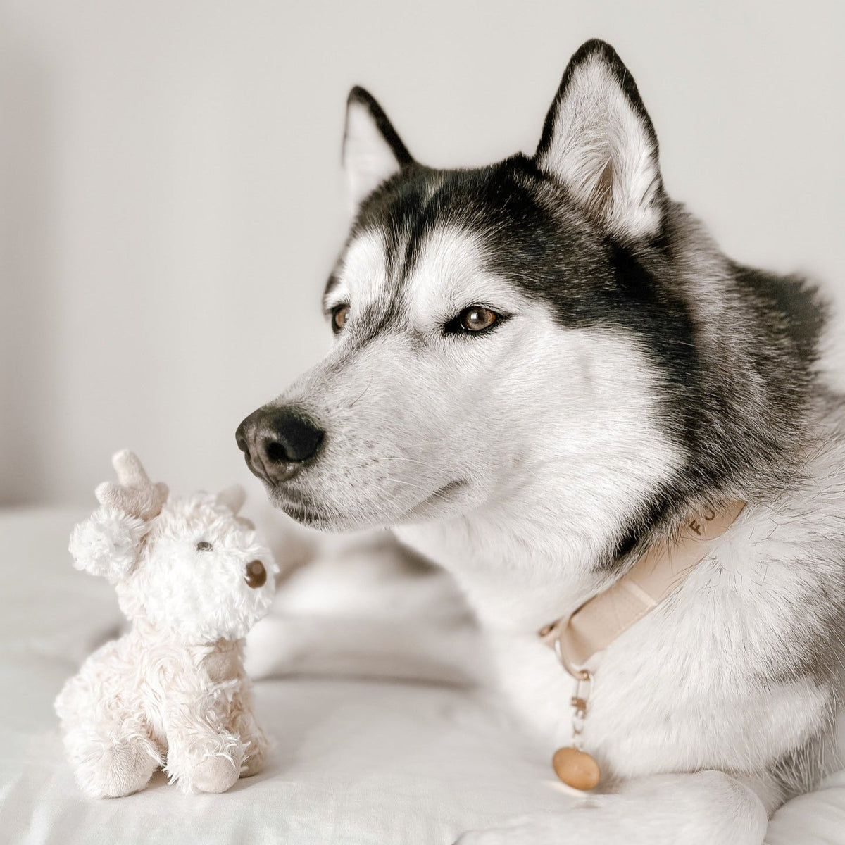 Vixi Reindeer Plush Dog Toy Set – 2-Pack with Squeaker, Crinkle & Jingle