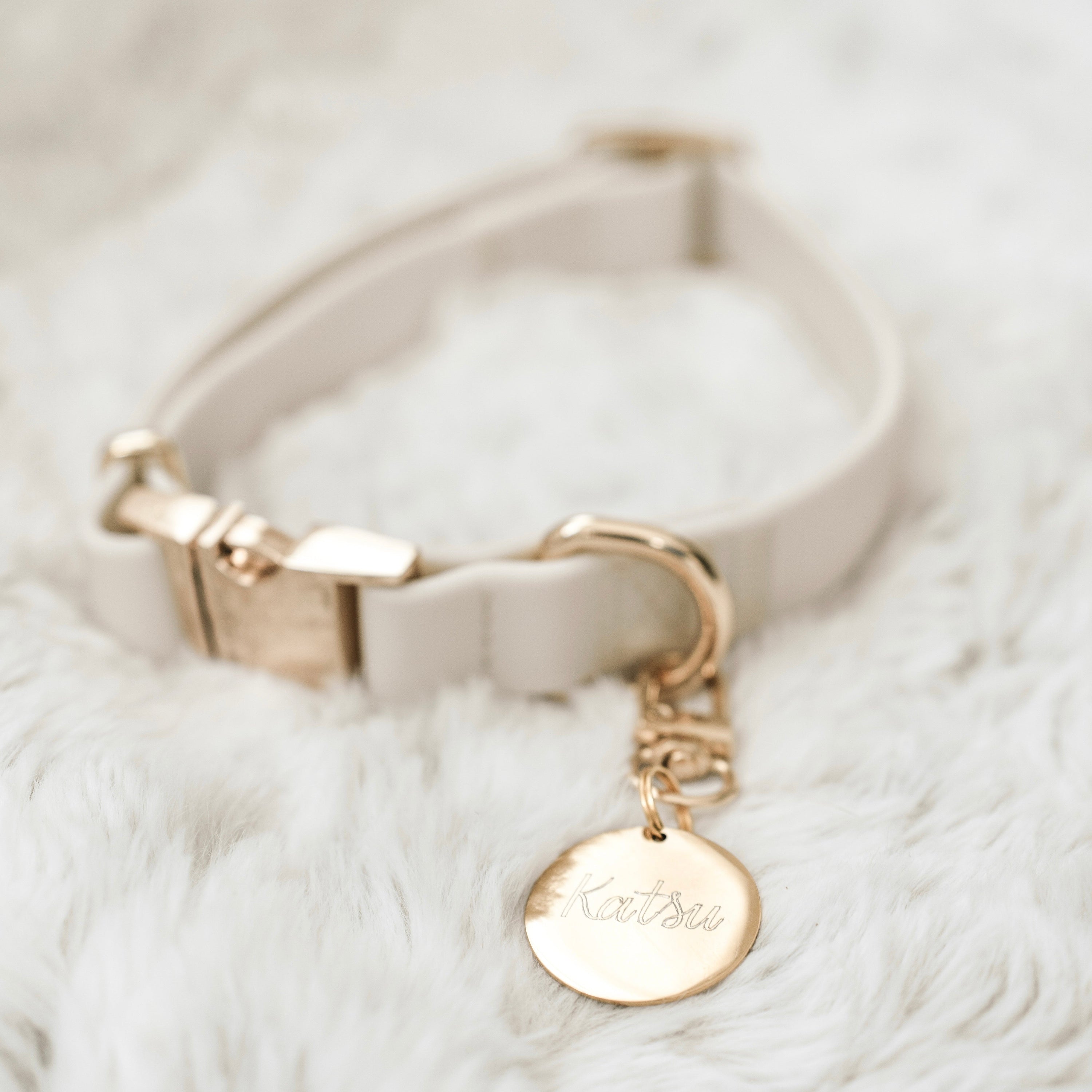 Elise Waterproof Dog Collar –Cream | Durable, Stylish & Lightweight
